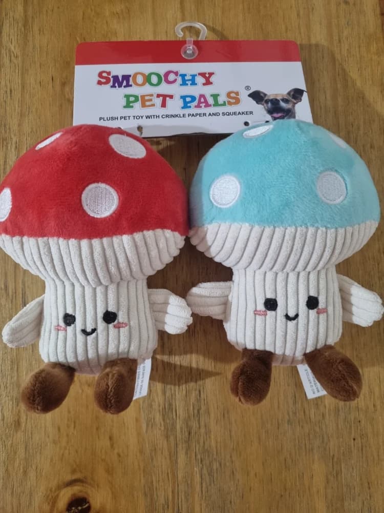 Honguitos x2 🍄