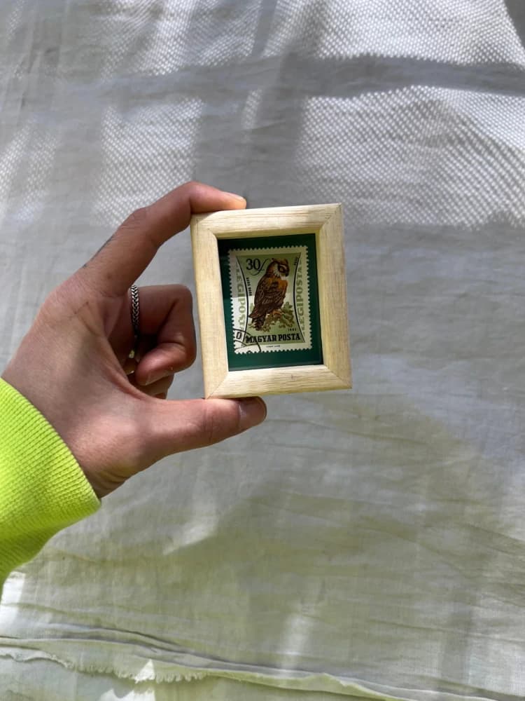 OBRA postal a elección