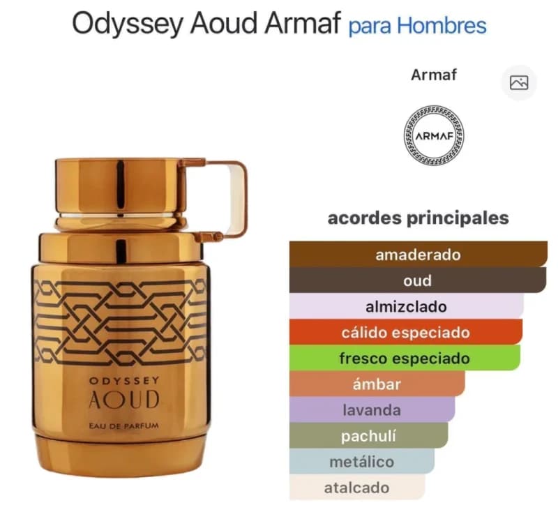 Odyssey Aoud 100ml