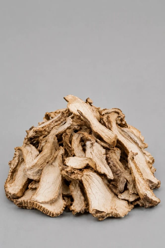 Maitake