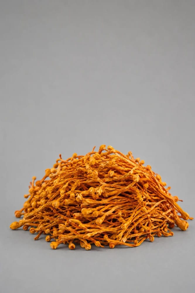 Cordyceps