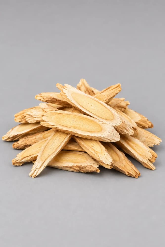 Astragalo
