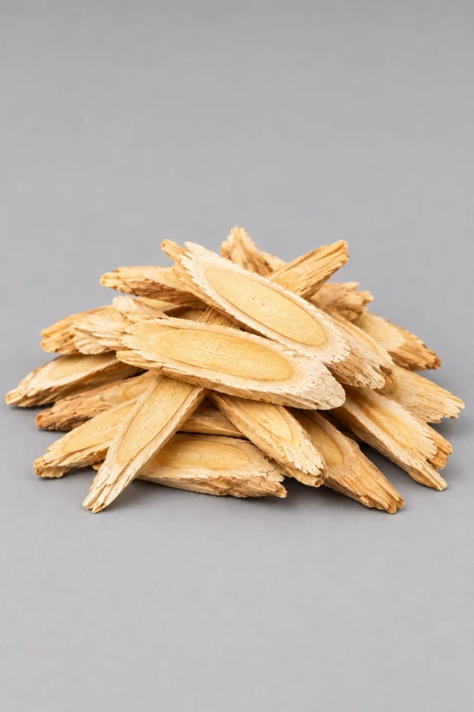 Astragalo
