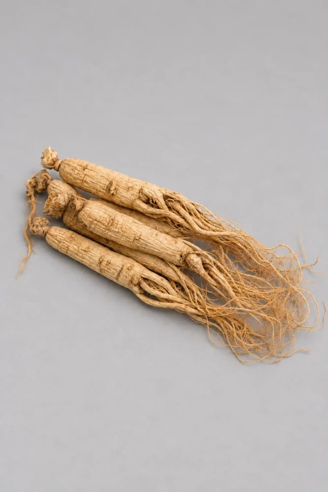 Panax Ginseng de Jilin (YANG)