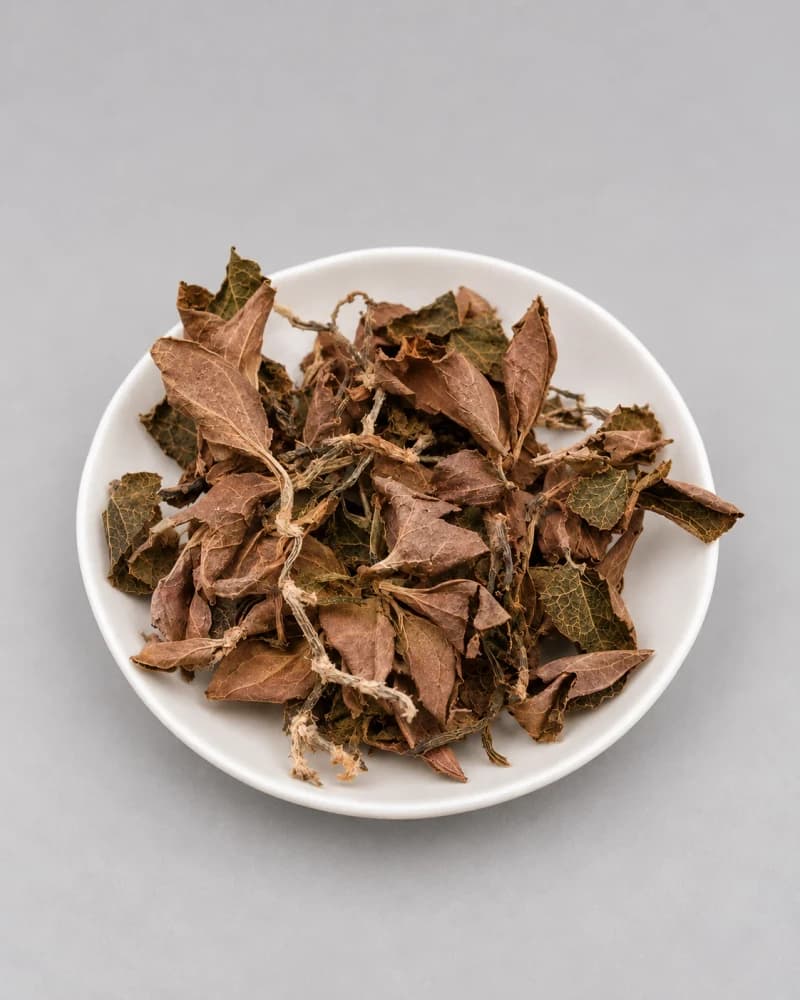 Jin Xian Lian