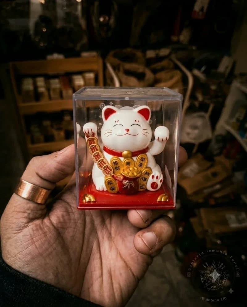 Gato maneki neko solar