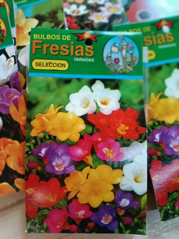 BULBOS DE FRESIAS