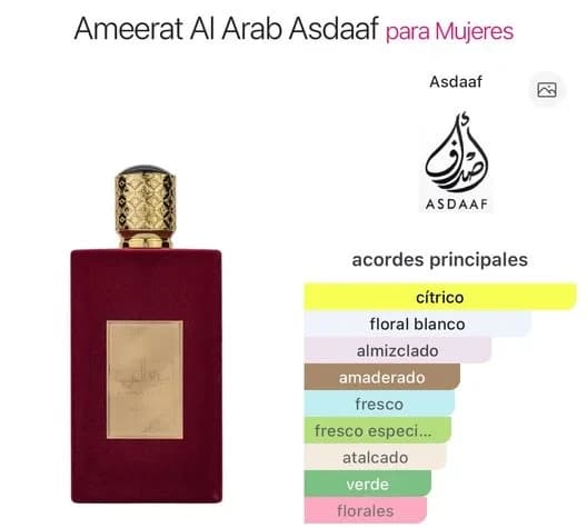 Ameerat Al Arab (Asdaaf) (Mujer)