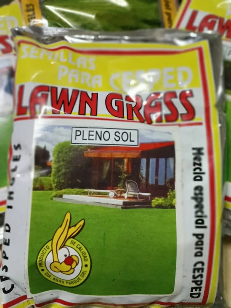 semillas de césped lawn grass