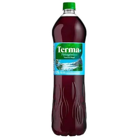 Terma patagónico