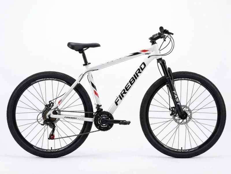 bicicleta FIREBIRD Rodado 29