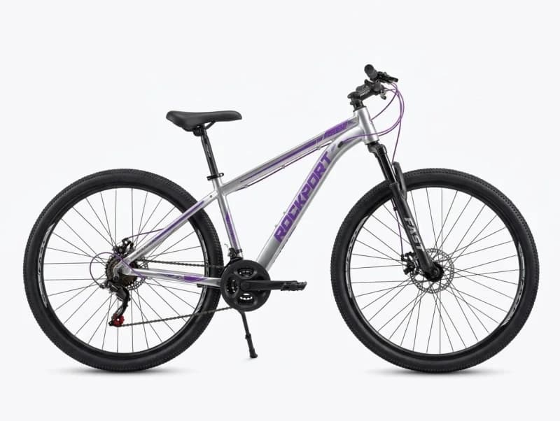 bicicleta FIREBIRD Rockport Rodado 29