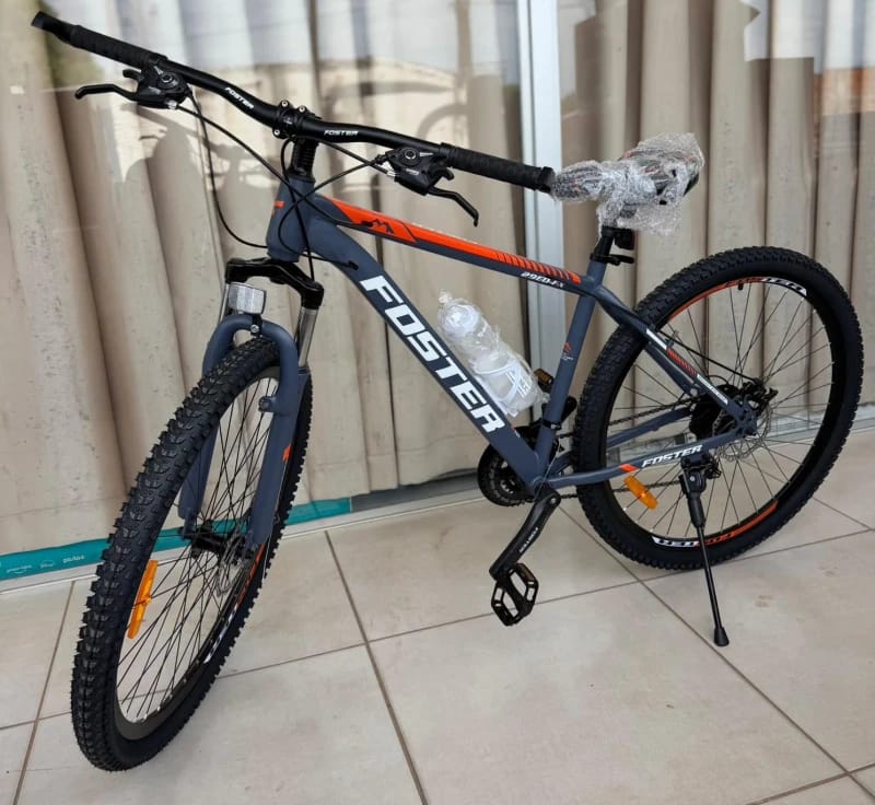 Bicicleta FOSTER R29