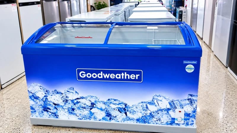 EXHIBIDORA PARA HELADOS GOODWEATHER