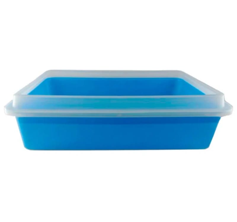 Bandeja para gato con aro