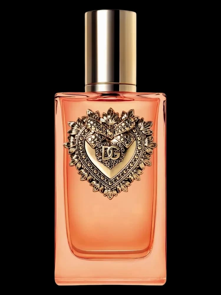 Devotion Intense - Dolce Gabbana